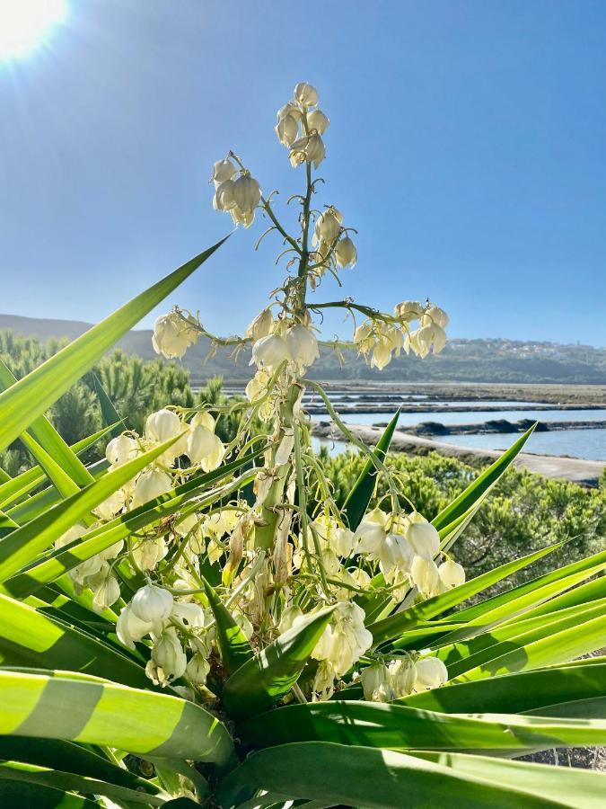 Herdade D' Amoreira Aljezur Eksteriør billede
